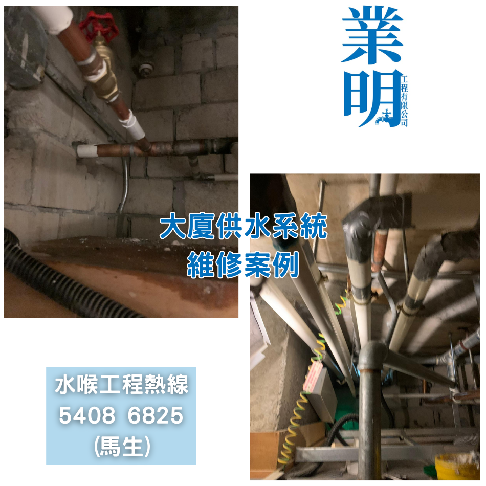 大廈更換維修供食水供水喉工程-有關案例參考-水務署認可一級水喉匠-水喉工程公司