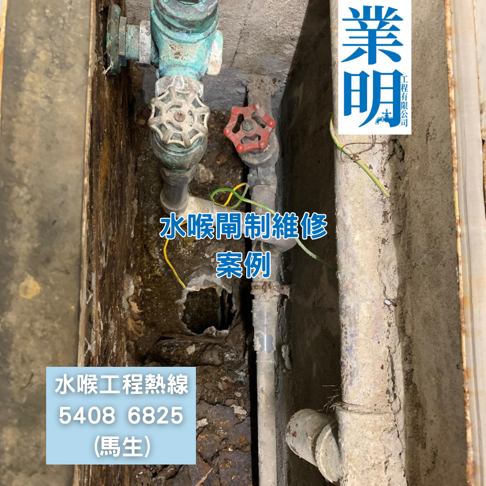 大廈水喉閘制維修更換工程-有關案例參考-水務署註冊水喉匠-水喉師傅推介